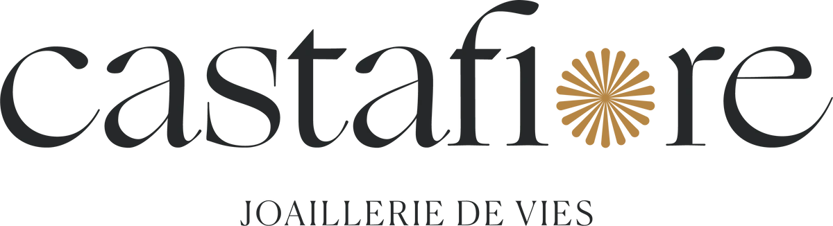 castafiore logo 1 Agence SEO Vannes