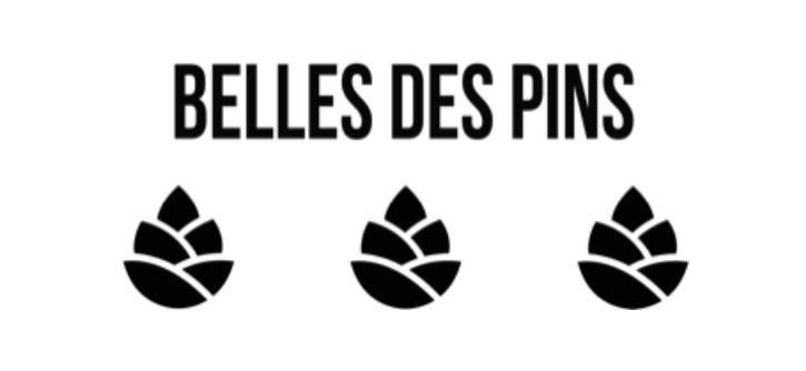 Belle des pins logo 1 Agence SEO Shopify