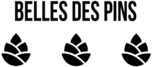 Belle des pins logo e1722546003350 1 Agence SEO Vannes